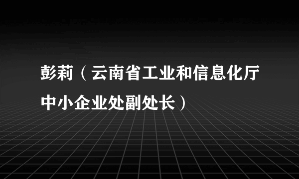 彭莉（云南省工业和信息化厅中小企业处副处长）