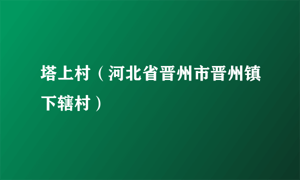 塔上村（河北省晋州市晋州镇下辖村）