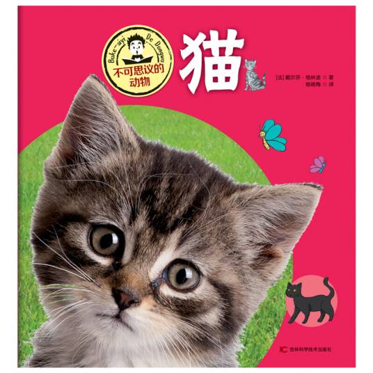不可思议的动物猫