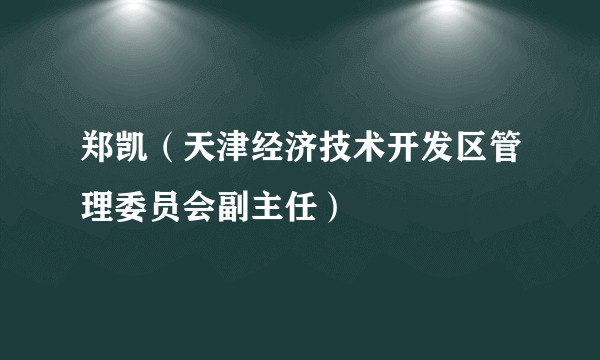 郑凯（天津经济技术开发区管理委员会副主任）
