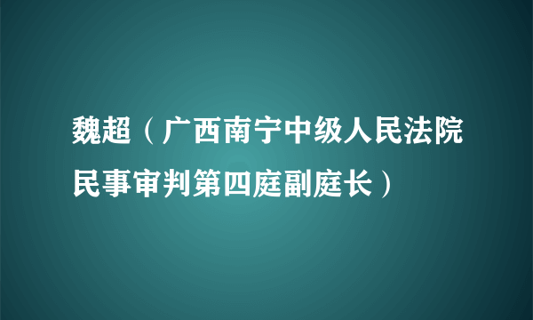 魏超（广西南宁中级人民法院民事审判第四庭副庭长）