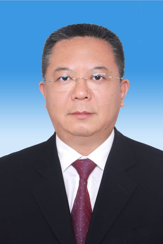柳江（四川长虹电子控股集团有限公司党委书记、董事长）