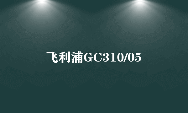 飞利浦GC310/05