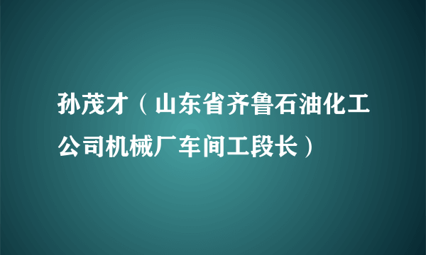 孙茂才（山东省齐鲁石油化工公司机械厂车间工段长）