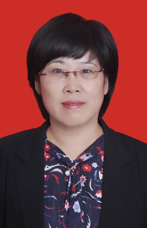 王丽（陕西省宝鸡市扶风县委委员、常委、书记）