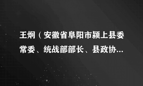 王炯（安徽省阜阳市颍上县委常委、统战部部长、县政协副书记）