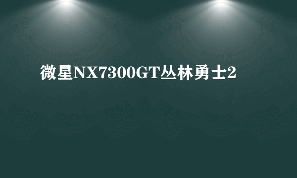微星NX7300GT丛林勇士2
