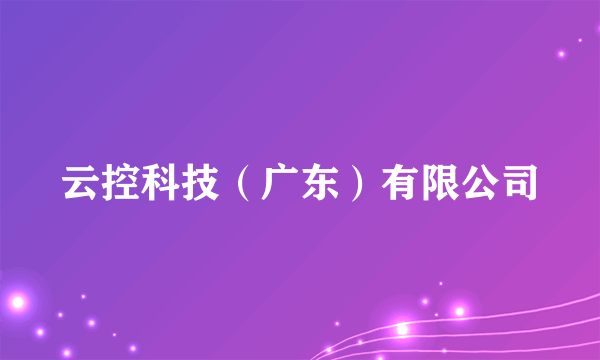 云控科技（广东）有限公司