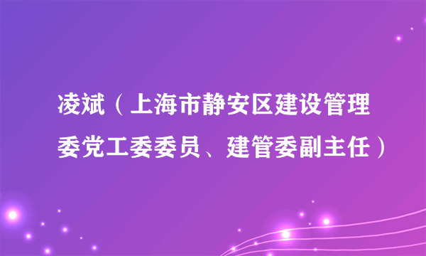 凌斌（上海市静安区建设管理委党工委委员、建管委副主任）
