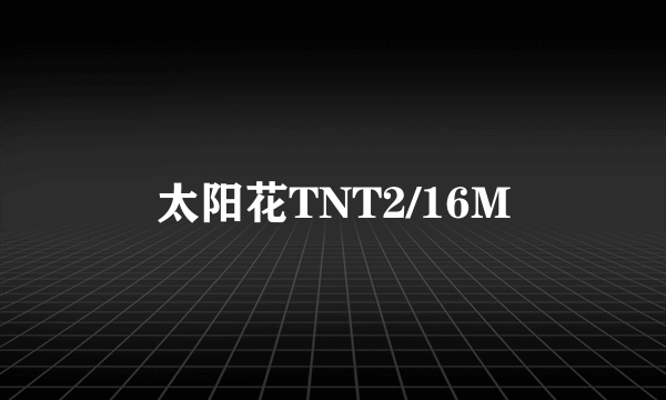 太阳花TNT2/16M