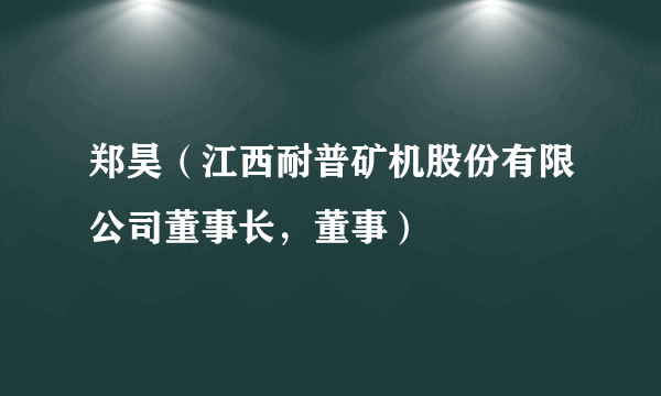 郑昊（江西耐普矿机股份有限公司董事长，董事）