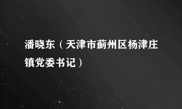 潘晓东（天津市蓟州区杨津庄镇党委书记）