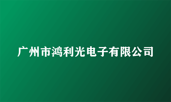 广州市鸿利光电子有限公司