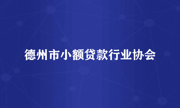 德州市小额贷款行业协会