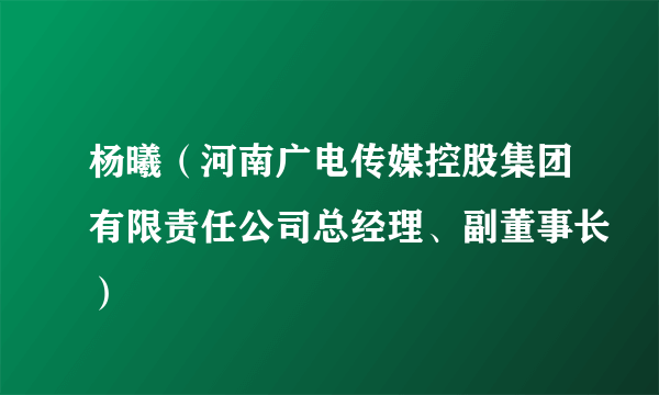 杨曦（河南广电传媒控股集团有限责任公司总经理、副董事长）