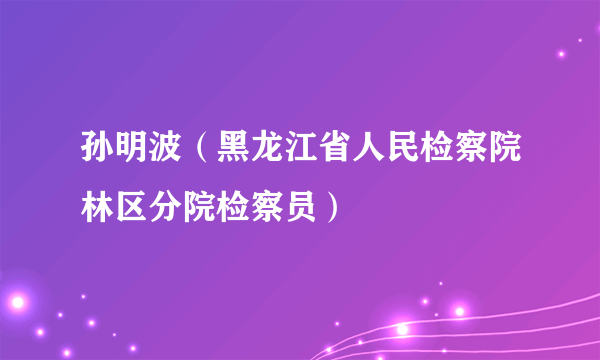 孙明波（黑龙江省人民检察院林区分院检察员）