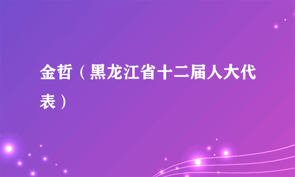 金哲（黑龙江省十二届人大代表）