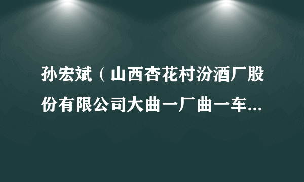 孙宏斌（山西杏花村汾酒厂股份有限公司大曲一厂曲一车间培曲师）