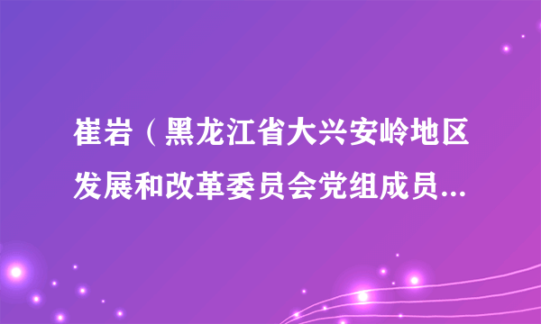崔岩（黑龙江省大兴安岭地区发展和改革委员会党组成员、副主任）