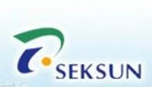 新加坡适新集团