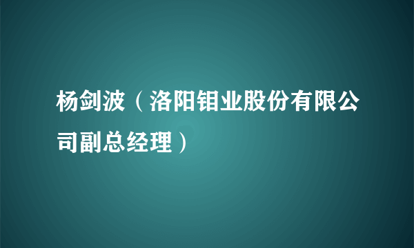 杨剑波（洛阳钼业股份有限公司副总经理）