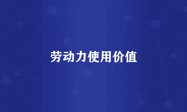 劳动力使用价值