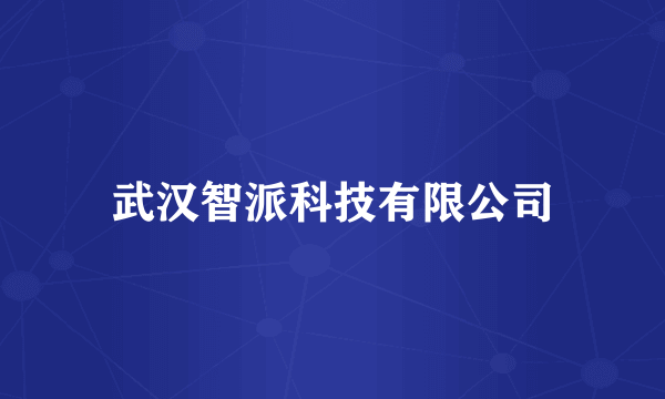 武汉智派科技有限公司