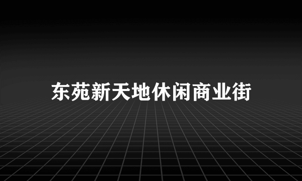 东苑新天地休闲商业街
