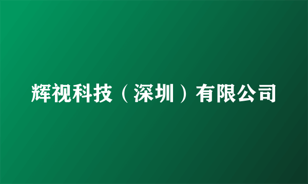 辉视科技（深圳）有限公司