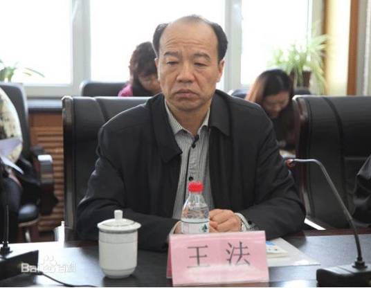 王法（黑龙江省委组织部副部长）