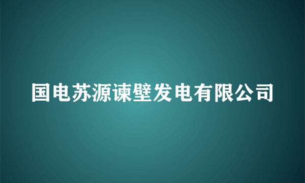国电苏源谏壁发电有限公司