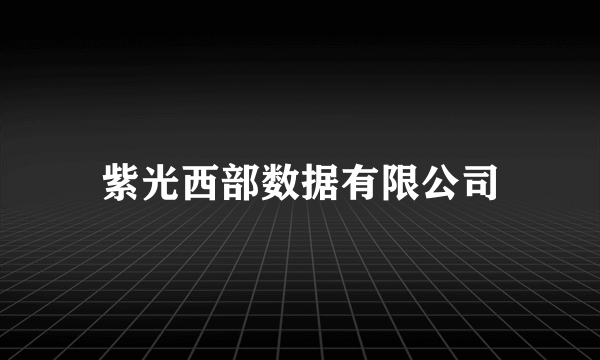 紫光西部数据有限公司