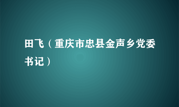 田飞（重庆市忠县金声乡党委书记）