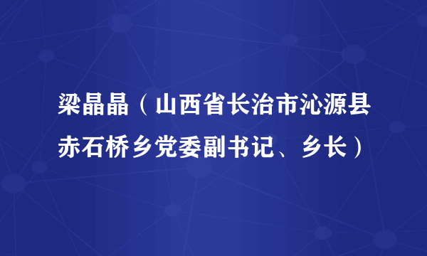 梁晶晶（山西省长治市沁源县赤石桥乡党委副书记、乡长）