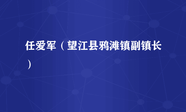 任爱军（望江县鸦滩镇副镇长）