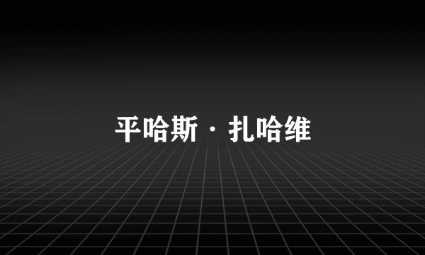 平哈斯·扎哈维