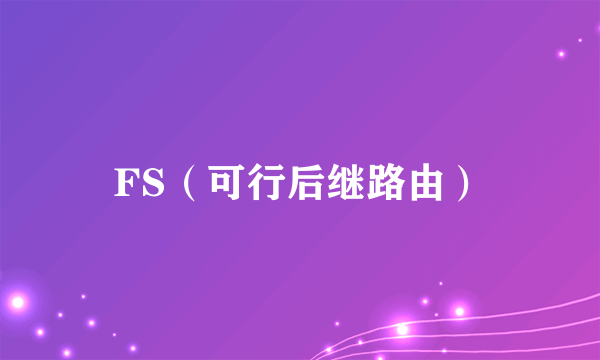 FS（可行后继路由）