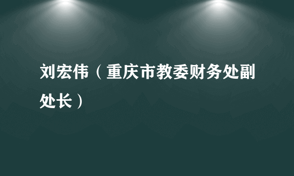 刘宏伟（重庆市教委财务处副处长）
