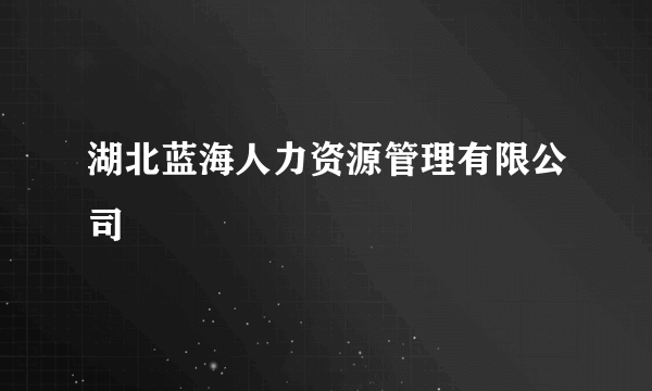 湖北蓝海人力资源管理有限公司
