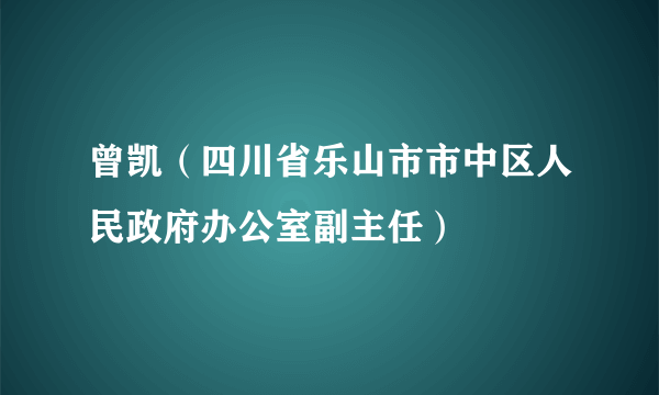 曾凯（四川省乐山市市中区人民政府办公室副主任）