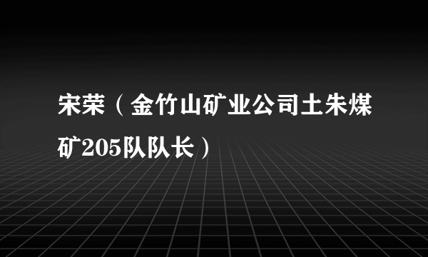 宋荣（金竹山矿业公司土朱煤矿205队队长）
