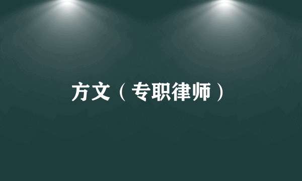 方文（专职律师）