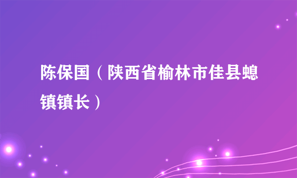 陈保国（陕西省榆林市佳县螅镇镇长）