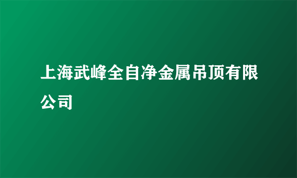 上海武峰全自净金属吊顶有限公司