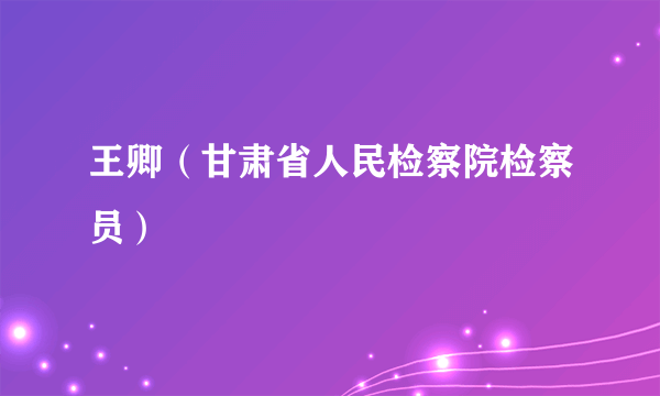 王卿（甘肃省人民检察院检察员）
