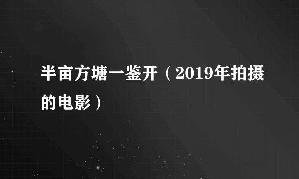 半亩方塘一鉴开（2019年拍摄的电影）