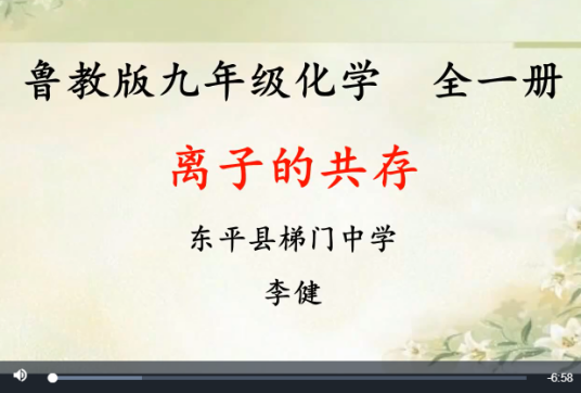 离子的共存