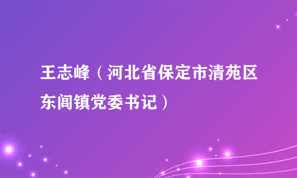 王志峰（河北省保定市清苑区东闾镇党委书记）