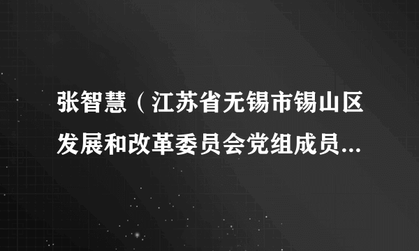 张智慧（江苏省无锡市锡山区发展和改革委员会党组成员、副主任）