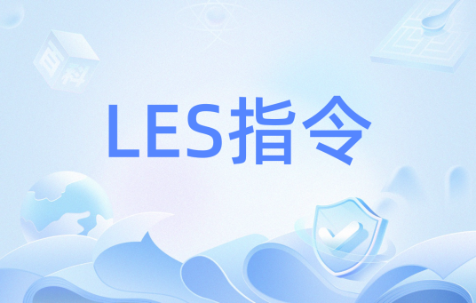 LES指令